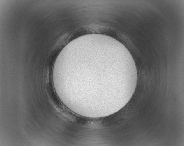 X0000080770694200701122056