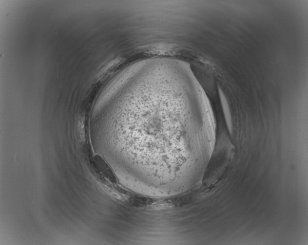 X0000080770696200701122056