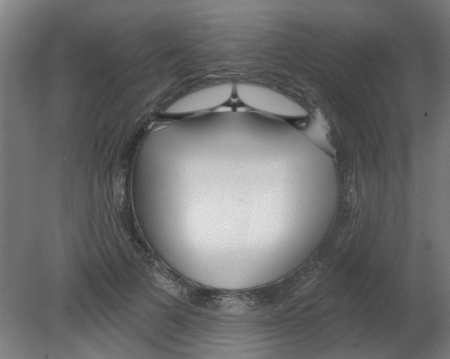 X0000080770697200701122056