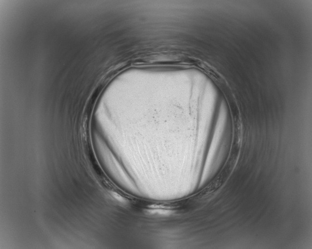 X0000080770699200701122056