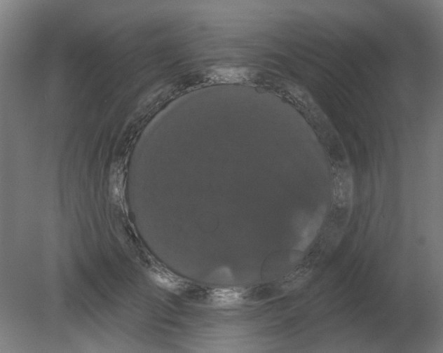 X0000080770701200701122056