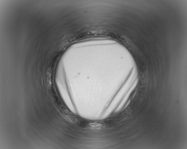 X0000080770703200701122056