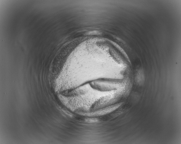X0000080770715200701122055