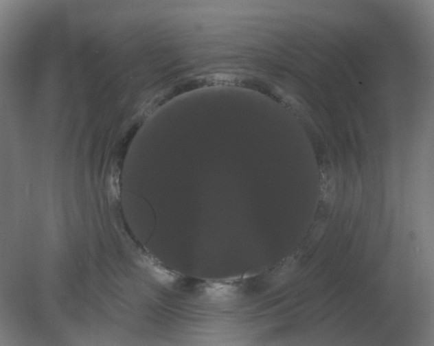 X0000080770718200701122055