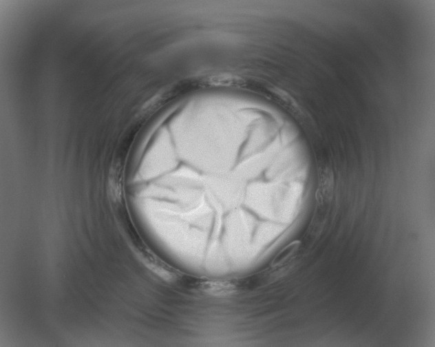 X0000080770719200701122055
