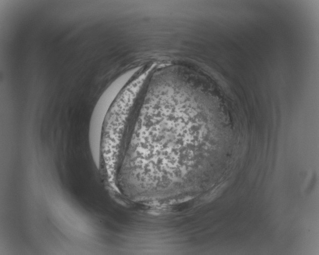 X0000080770720200701122055