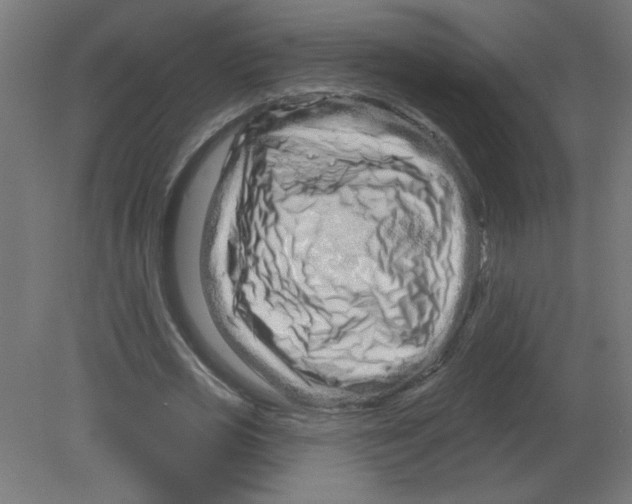 X0000080770725200701122054