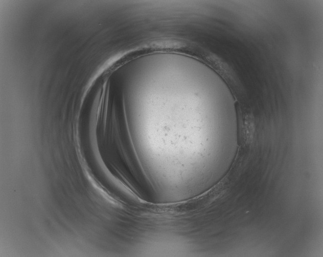 X0000080770726200701122055