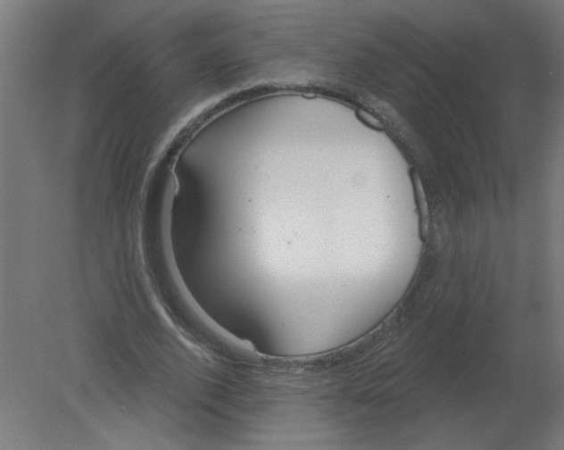 X0000080770728200701122055