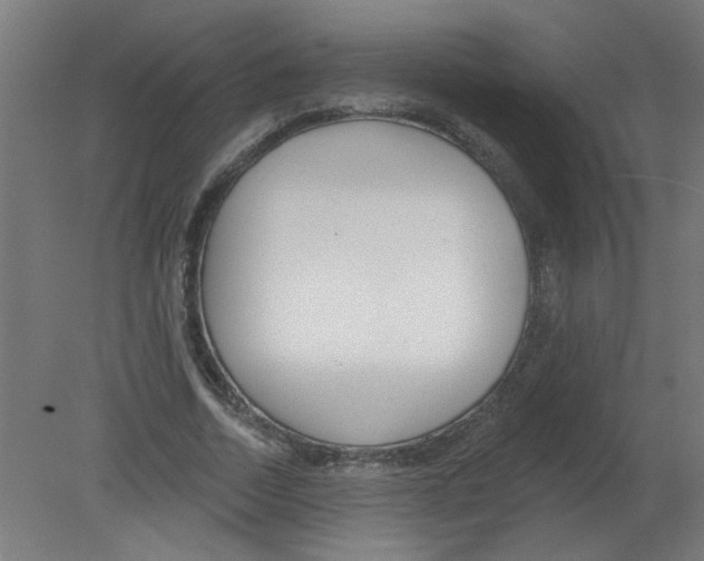 X0000080770730200701122055
