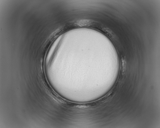 X0000080770733200701122055