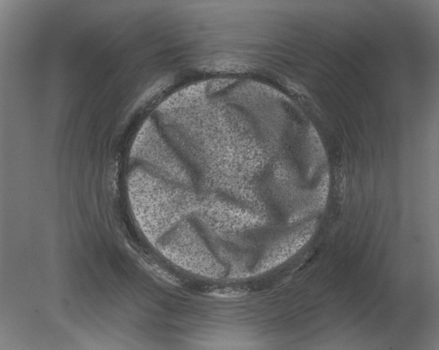X0000080770735200701122055