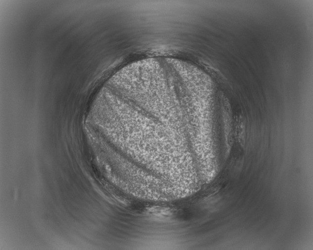 X0000080770742200701122055