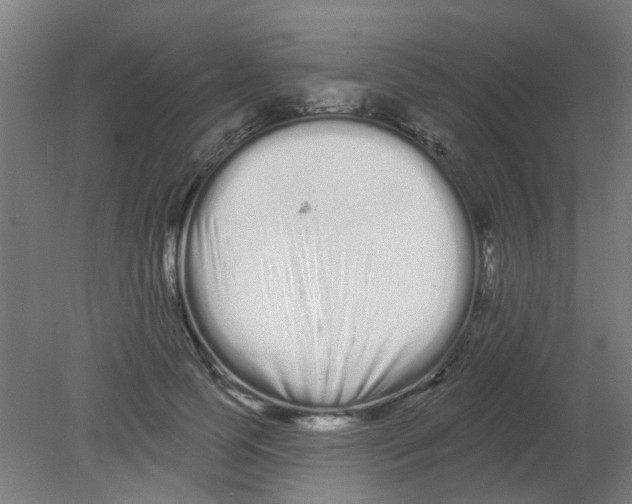 X0000080770745200701122055