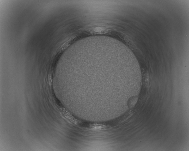 X0000080770746200701122055