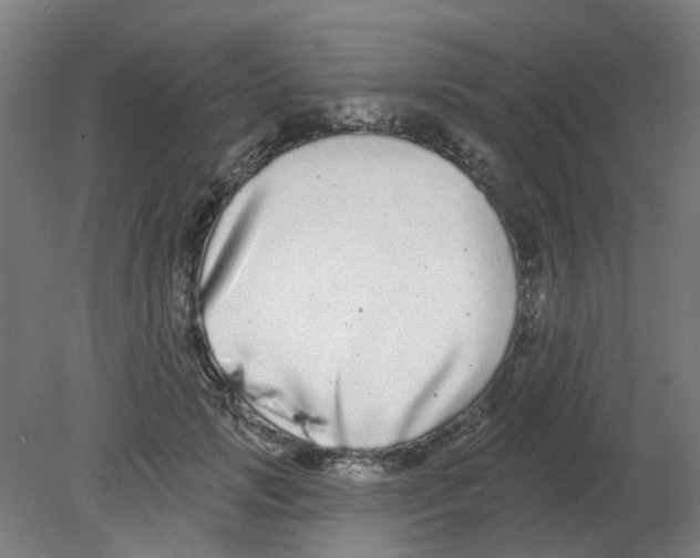X0000080770749200701122055