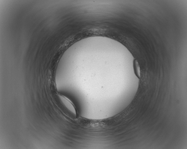 X0000080770752200701122055