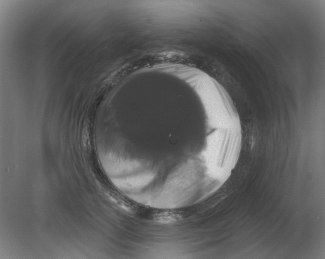 X0000080770754200701122055