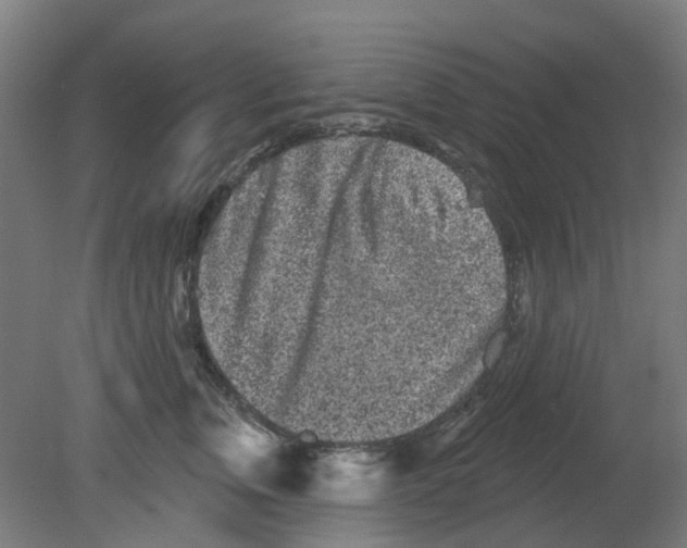 X0000080770759200701122055