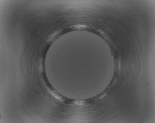 X0000080770762200701122055