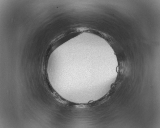 X0000080770763200701122055