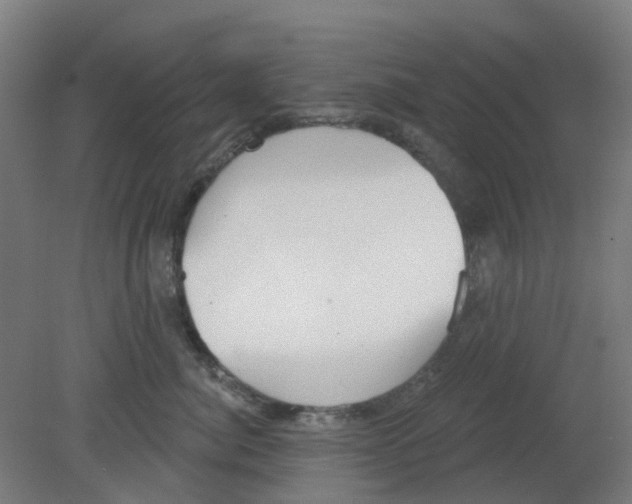 X0000080770764200701122055