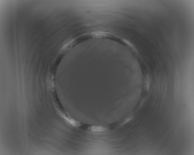 X0000080770766200701122055