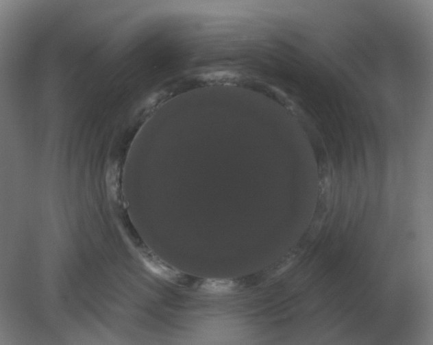 X0000080770767200701122055