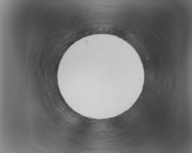 X0000080770769200701122054