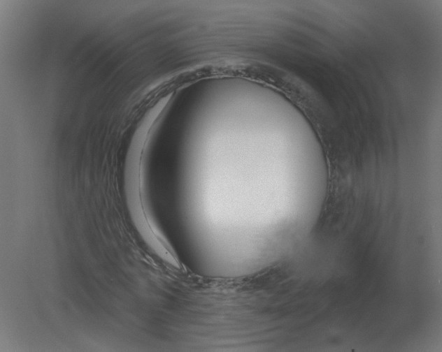 X0000080770773200701122054