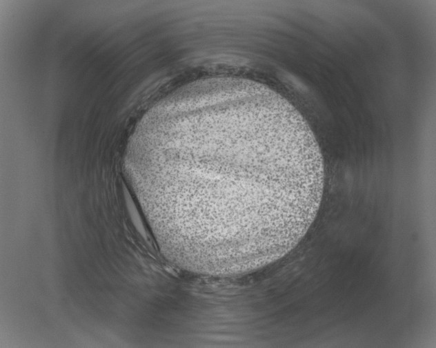 X0000080770774200701122054