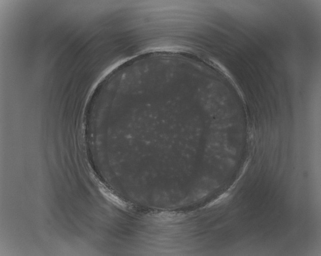 X0000080770779200701122054