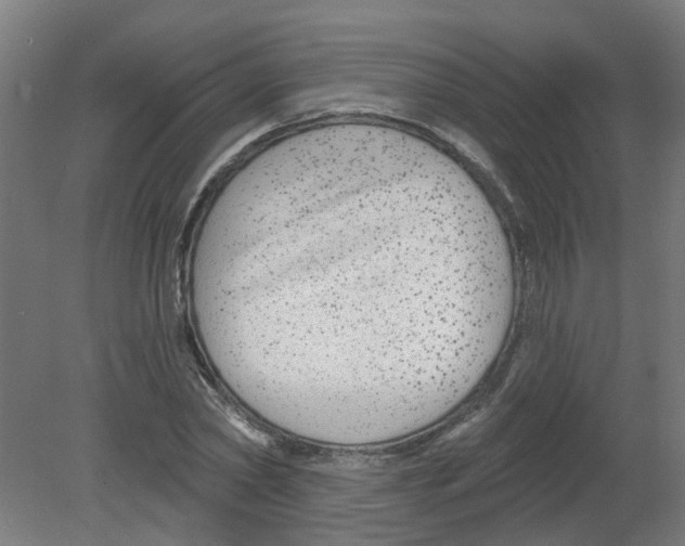 X0000080770782200701122054