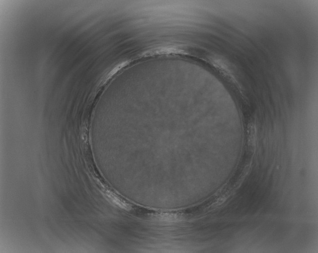 X0000080770785200701122054