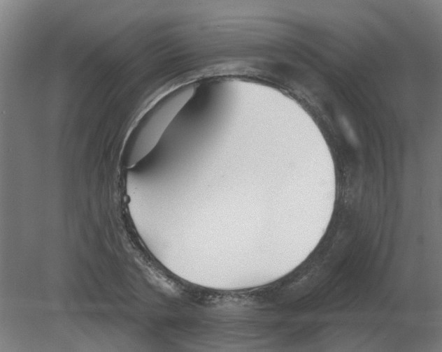 X0000080770786200701122054