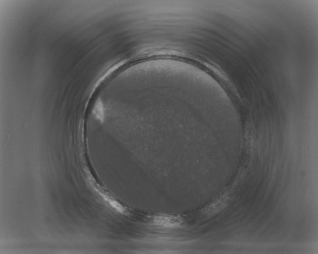X0000080770790200701122054