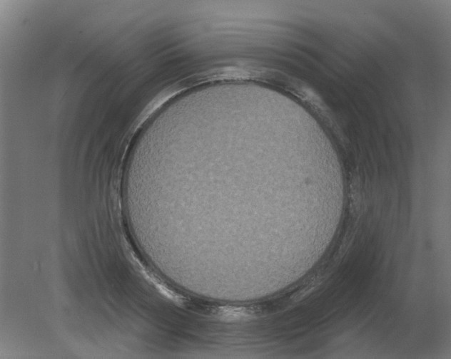 X0000080770794200701122054
