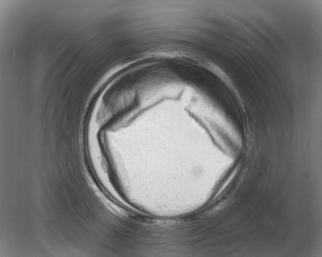 X0000080770803200701122054