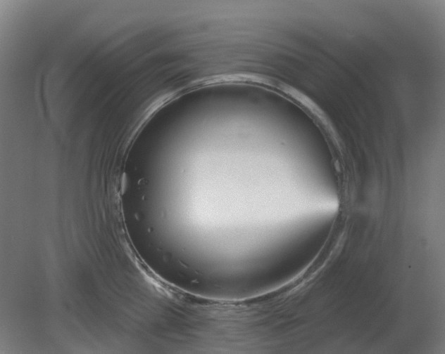 X0000080770809200701122054