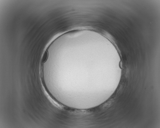 X0000080770811200701122054