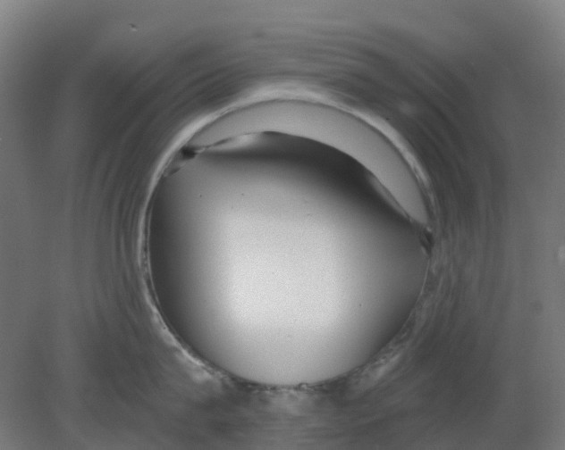 X0000080770815200701122054