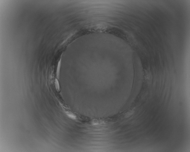 X0000080770818200701122053