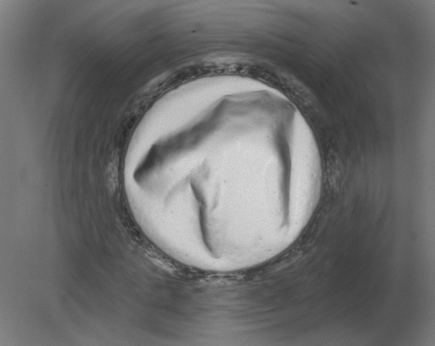 X0000080770821200701122053