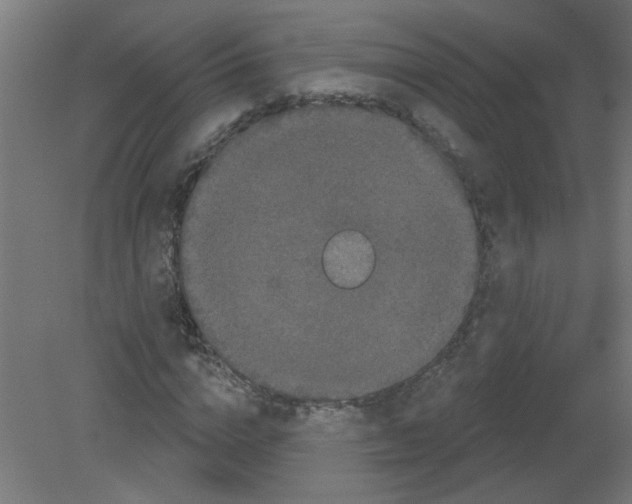 X0000080770824200701122053