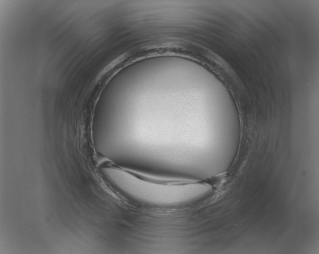 X0000080770826200701122053