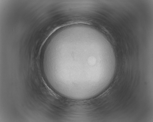 X0000080770828200701122053