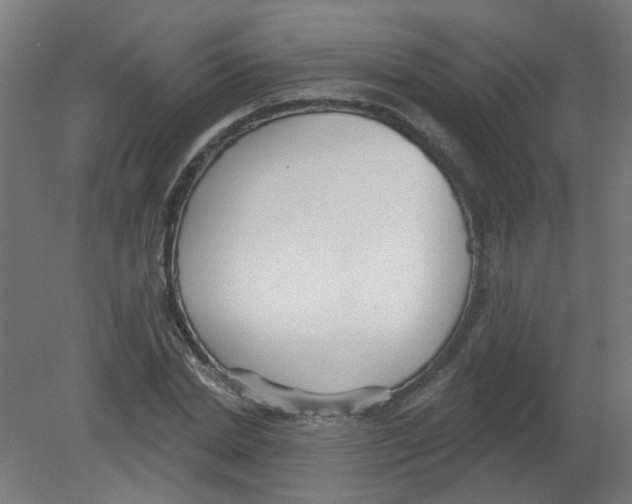 X0000080770830200701122053