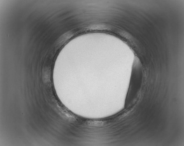 X0000080770833200701122053