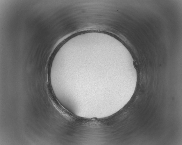 X0000080770838200701122053