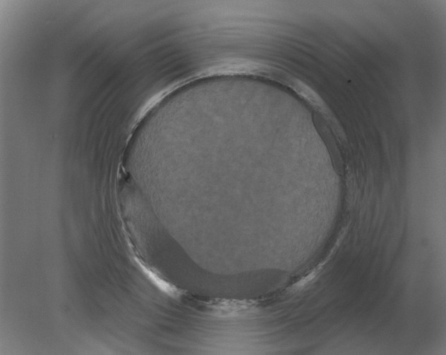 X0000080770842200701122053